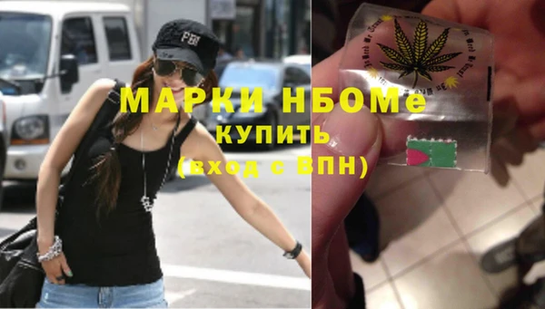 ПСИЛОЦИБИНОВЫЕ ГРИБЫ Арсеньев