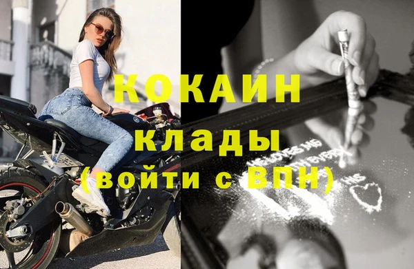 ПСИЛОЦИБИНОВЫЕ ГРИБЫ Арсеньев