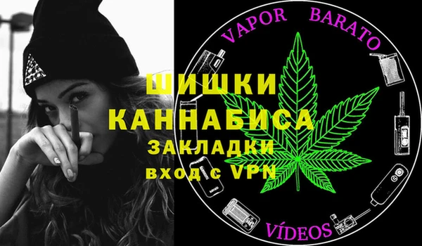 ПСИЛОЦИБИНОВЫЕ ГРИБЫ Арсеньев