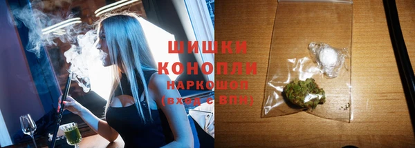 ПСИЛОЦИБИНОВЫЕ ГРИБЫ Арсеньев
