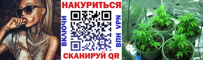 Канабис планчик  это наркотические препараты  Артёмовский  дарнет шоп 